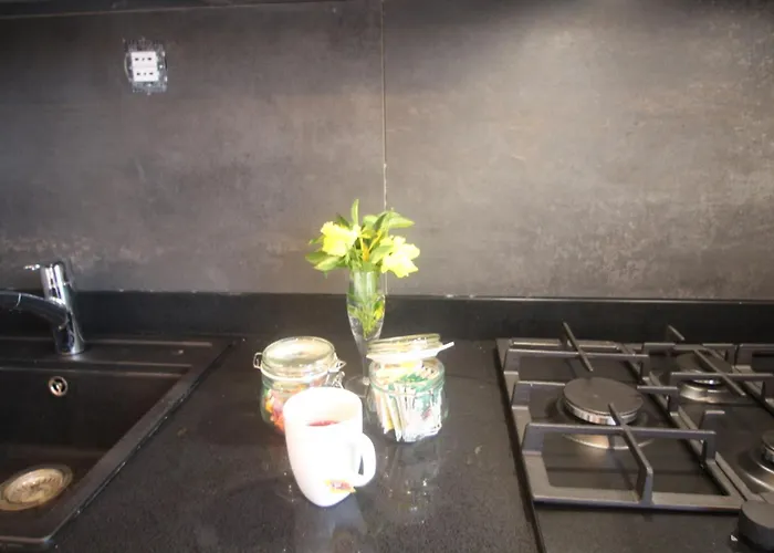 Cozy Renovated Designer With Special Price Winter 2026 Appartement