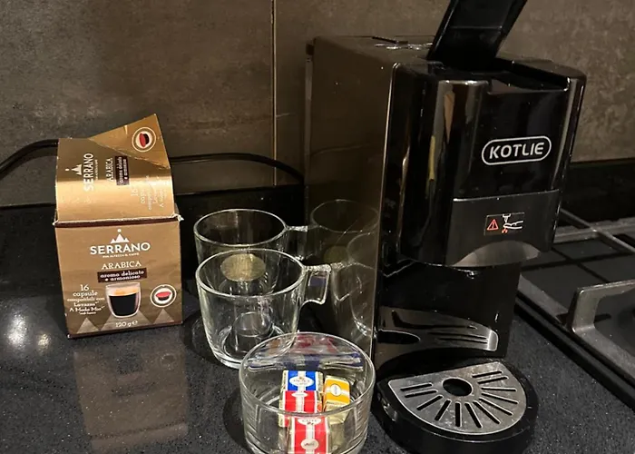 Cozy Renovated Designer With Special Price Winter 2026 Appartement *