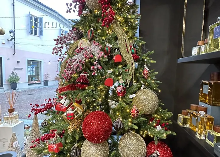 Cozy Renovated Designer With Special Price Winter 2026